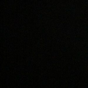 Meet your Posher, Max